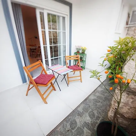 Apartman Nest